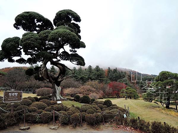 DSCN0680.jpg
