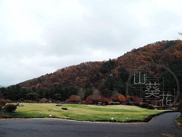 DSCN0717.jpg