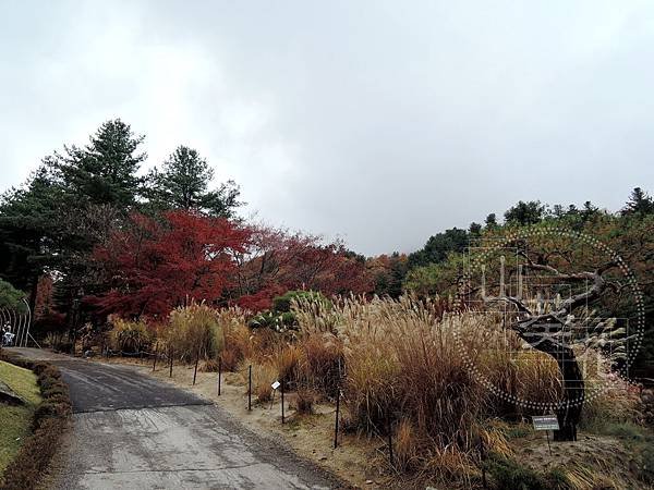 DSCN0723.jpg