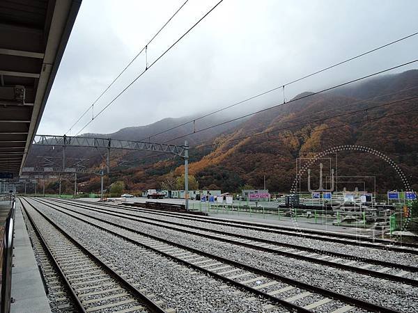 DSCN0726.jpg