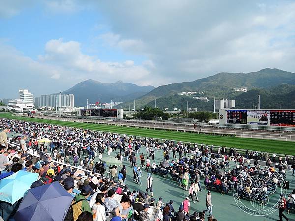 DSCN2496.JPG