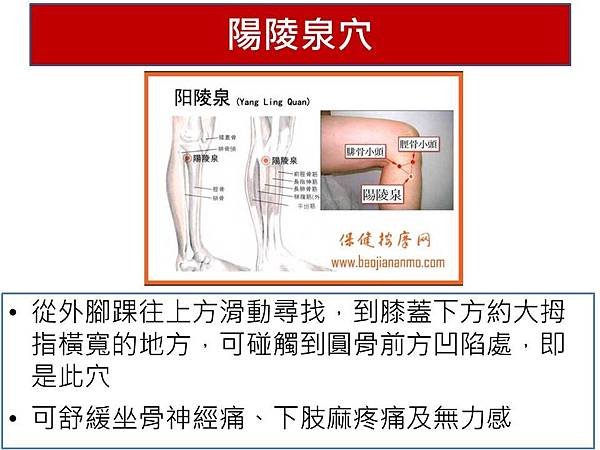 陽陵泉穴.JPG