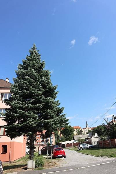 Levoca 街道%26;超市%26;自己煮_190908_0015.jpg