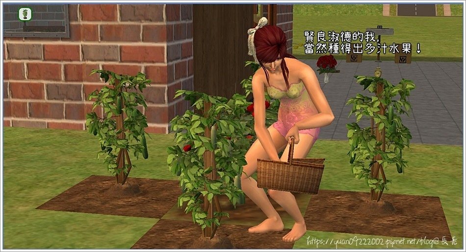 華家－３ (29).jpg