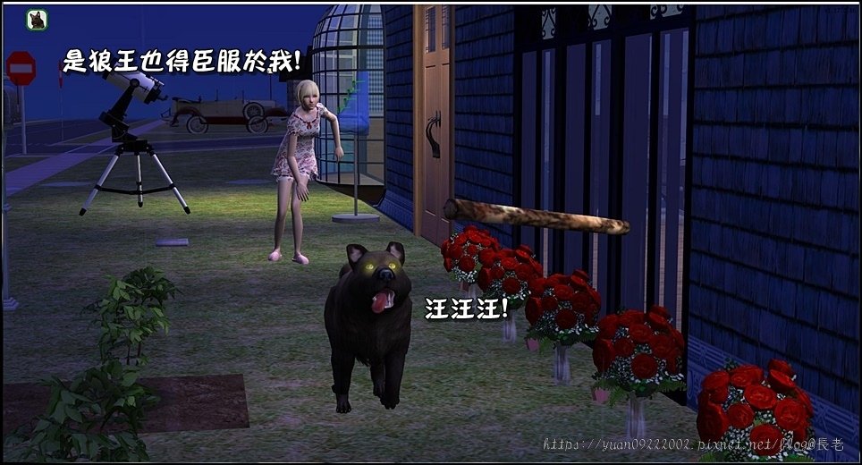 星光家-5 (42).jpg