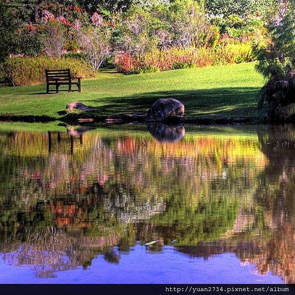 Kirstenbosch_reflections_by_Day_is_Coming1