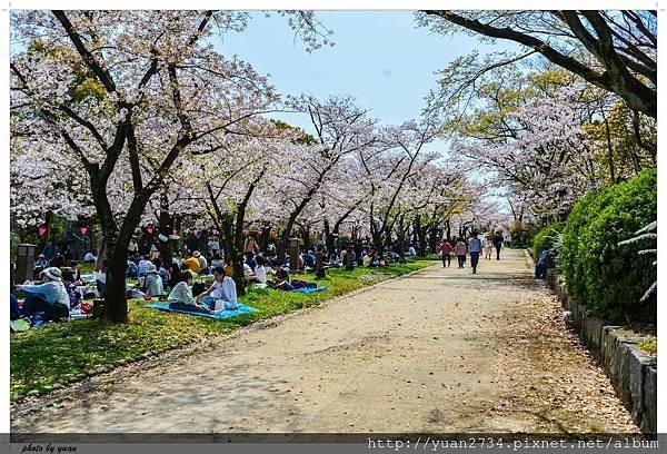 20180401-DSC_5150