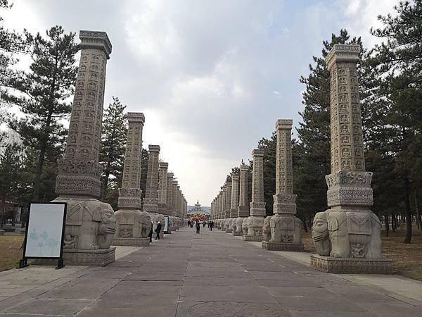 IMG_20191106_133242.jpg