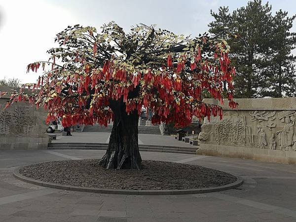 IMG_20191106_133744.jpg