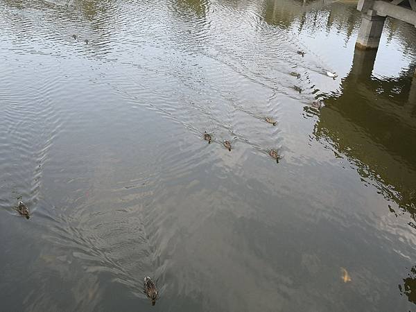 IMG_20191106_140113.jpg