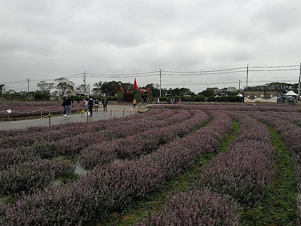 IMG_20191202_112255.jpg