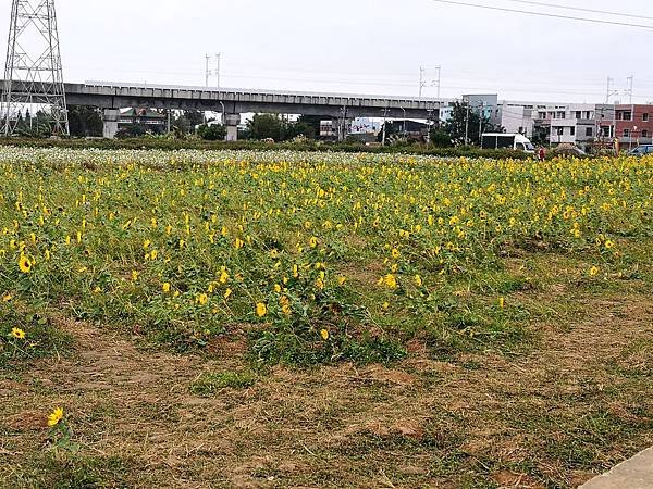 IMG_20191202_112927.jpg