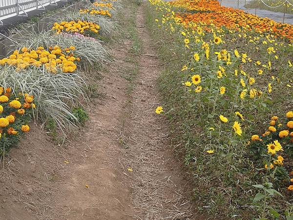 IMG_20191202_122101.jpg