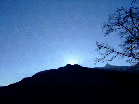 003.gif