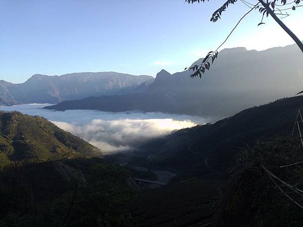 雲海