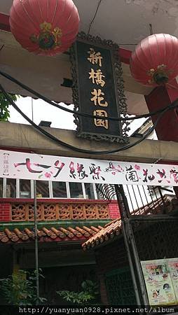 IMAG0555