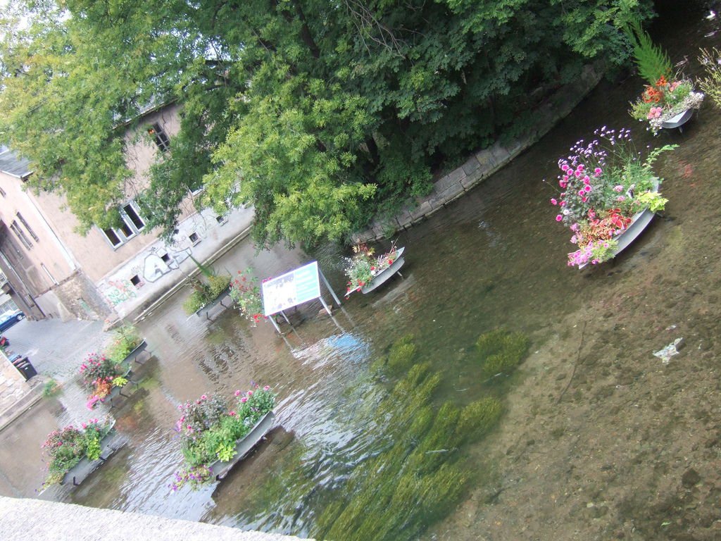 DSCF3831