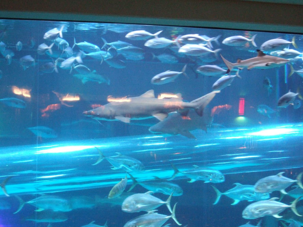 2011_0107_075215
