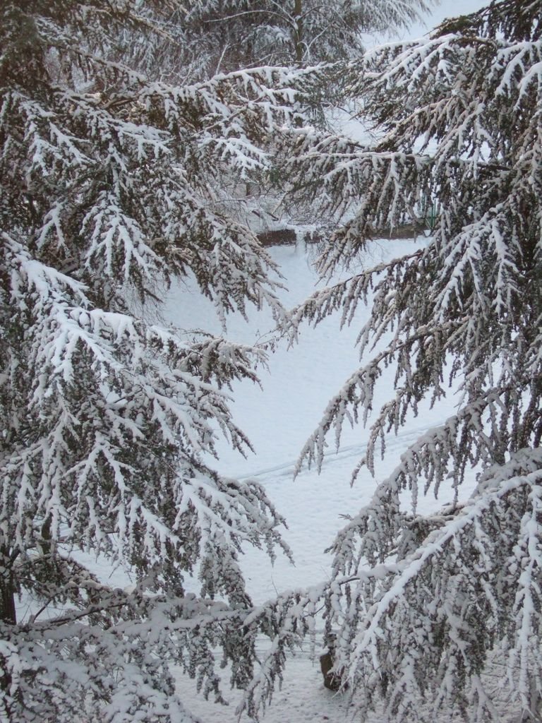DSCF4003_gedreht