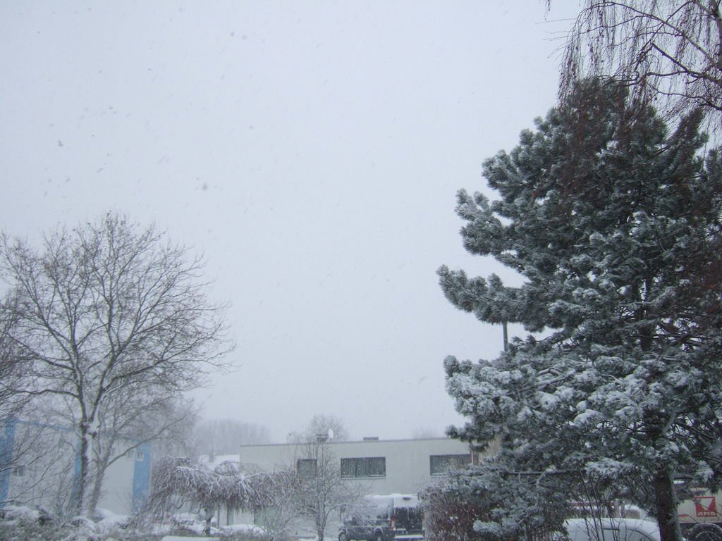 DSCF3998