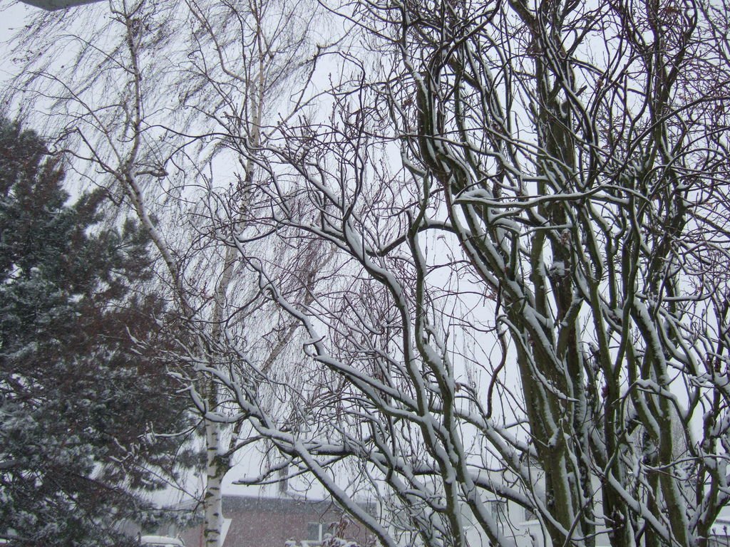 DSCF4000