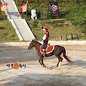 DSCF6779