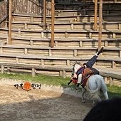 DSCF6803