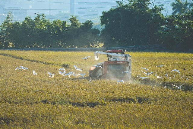 S30