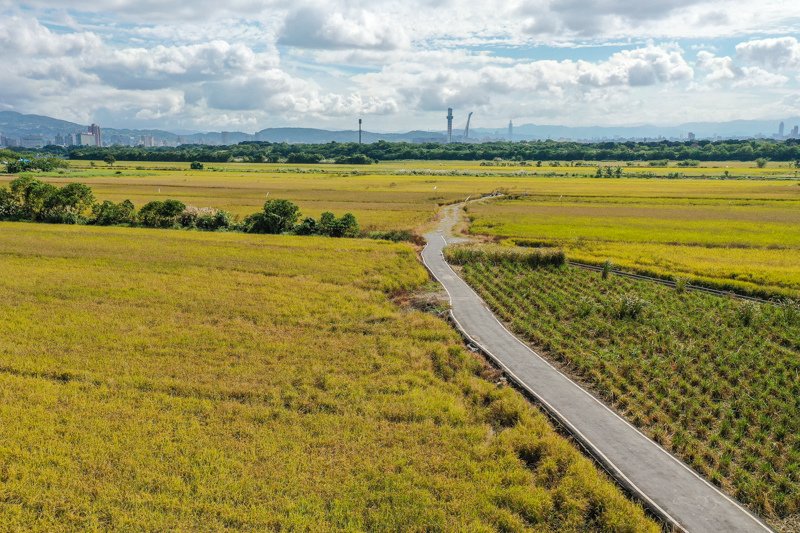 DJI_23