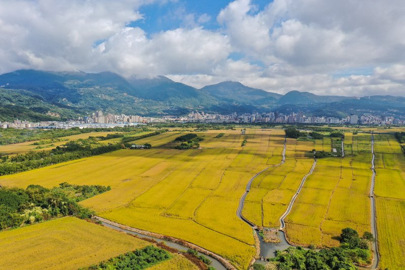 DJI_0956
