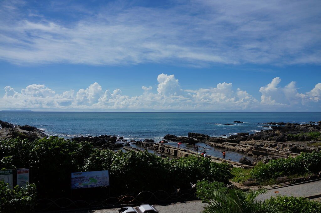 DSC03533