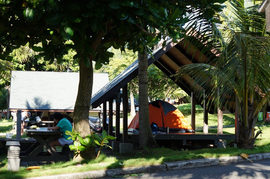 DSC03506