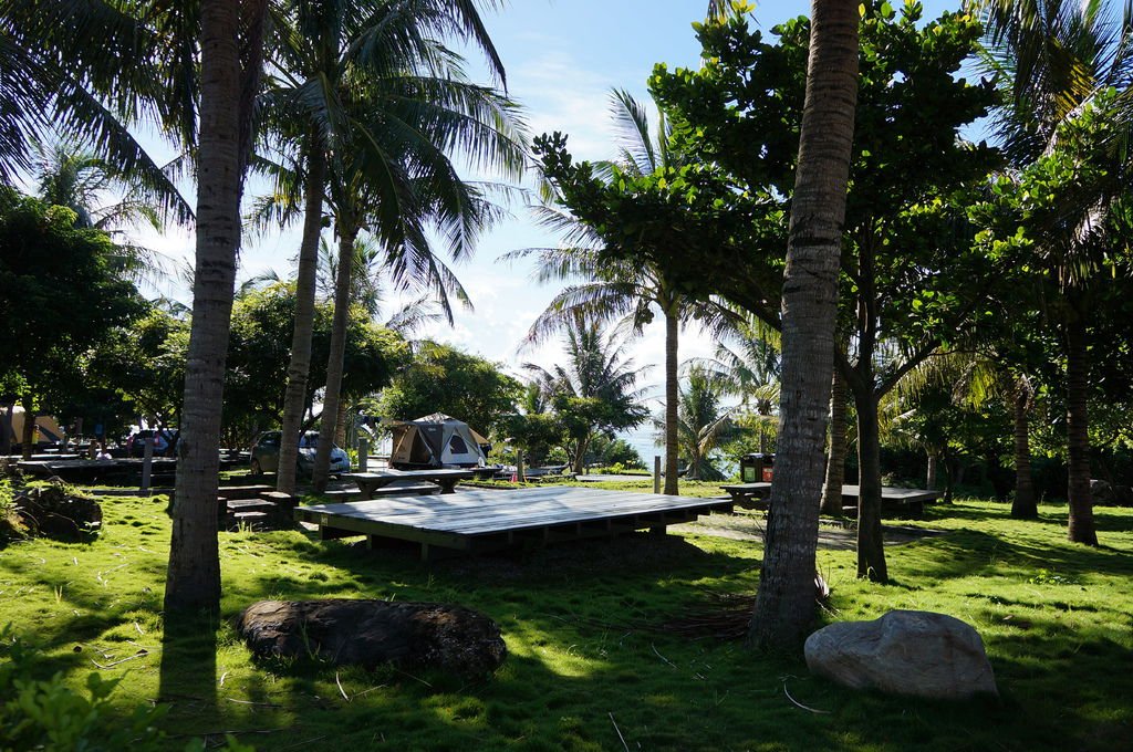 DSC03510