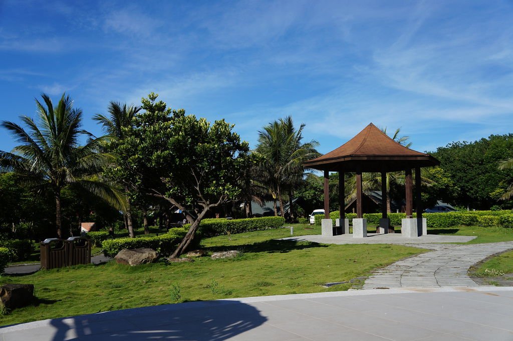 DSC03516