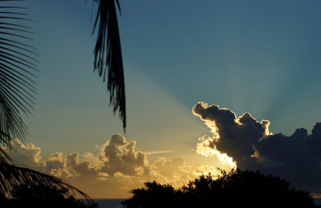 DSC03900