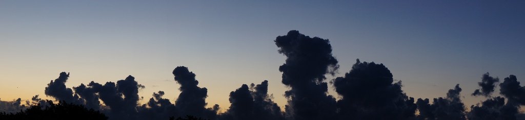 DSC03754