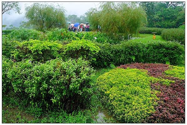 P1420690         仁山植物園_副本