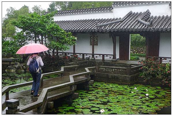 P1420620    仁山植物園~2._副本