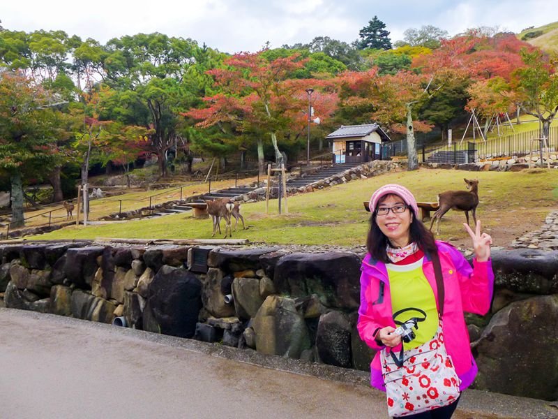 P1010302     東福寺 我_副本
