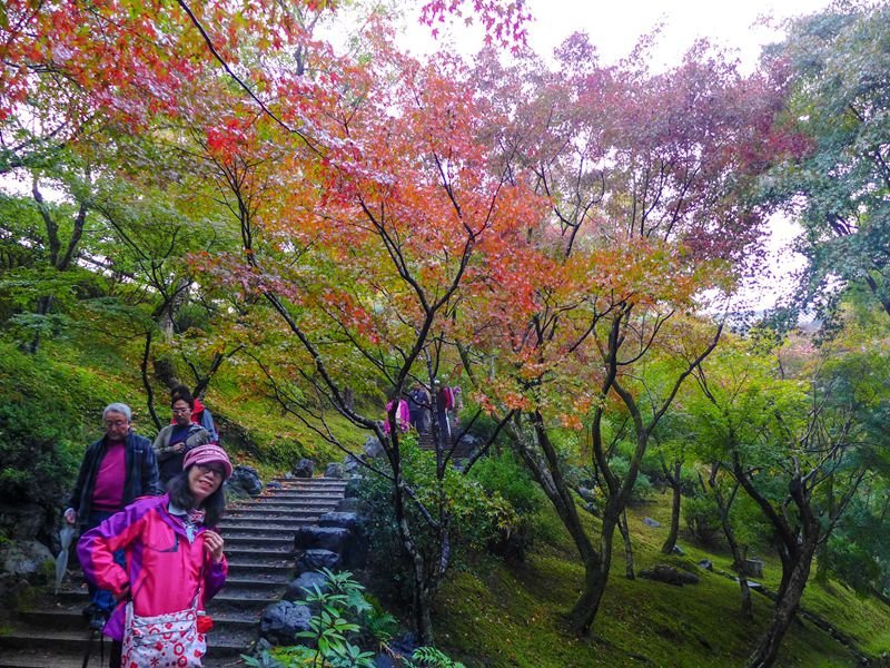 P1010352         通天橋_副本
