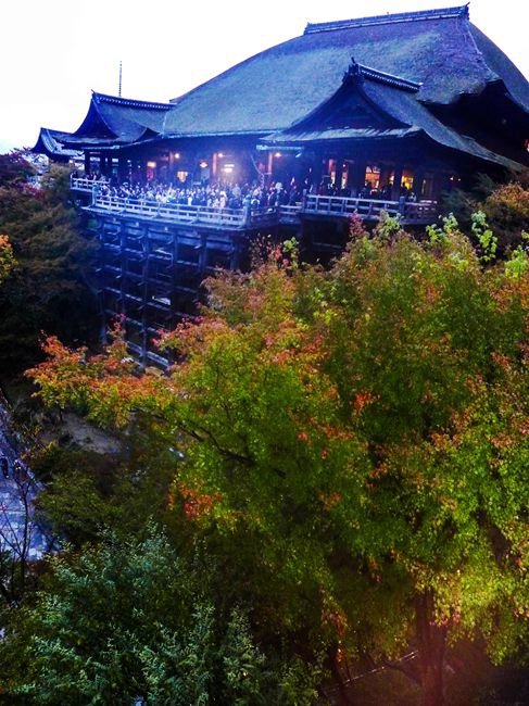 P1010413    QQ_副本