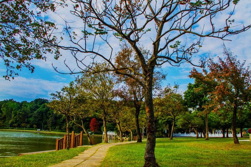 _MG_3813    碧湖公園_副本