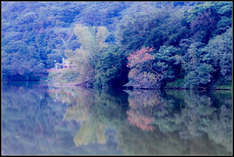 _MG_7079   AAAA_副本    大湖公園