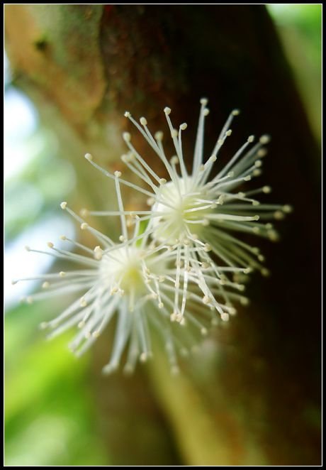P1560019_副本　　　NEＷ