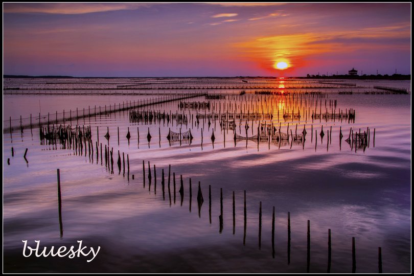 IMG_9833  七股 捕捉夕陽S