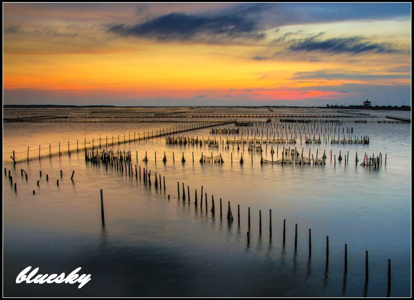 IMG_9855  七股 捕捉夕陽S