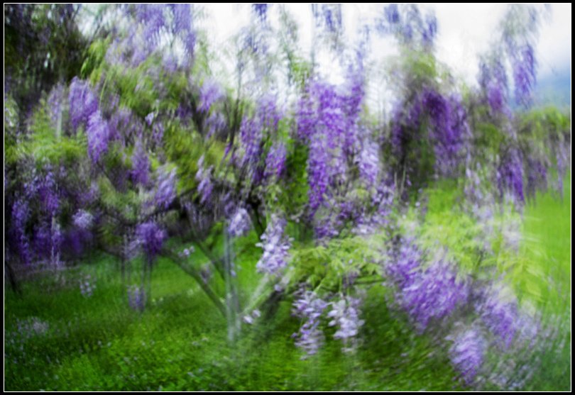 _MG_0800    W W