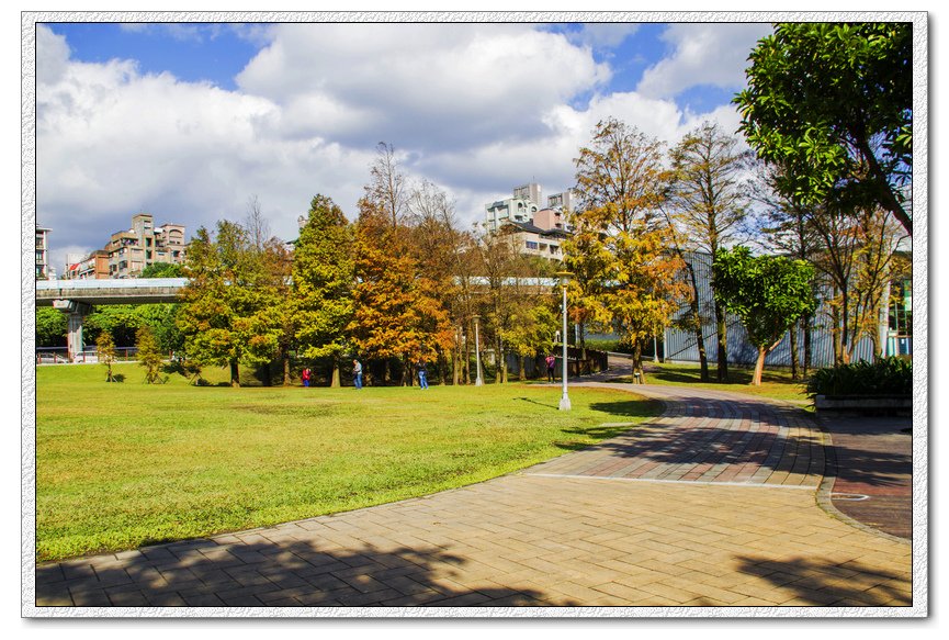 _MG_6997 W    ~2.