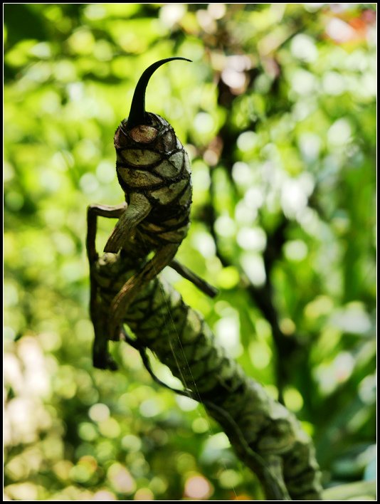L2330500   ～4.jpg