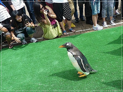 2011北海道之旅~登別海洋公園尼克斯(3) 25